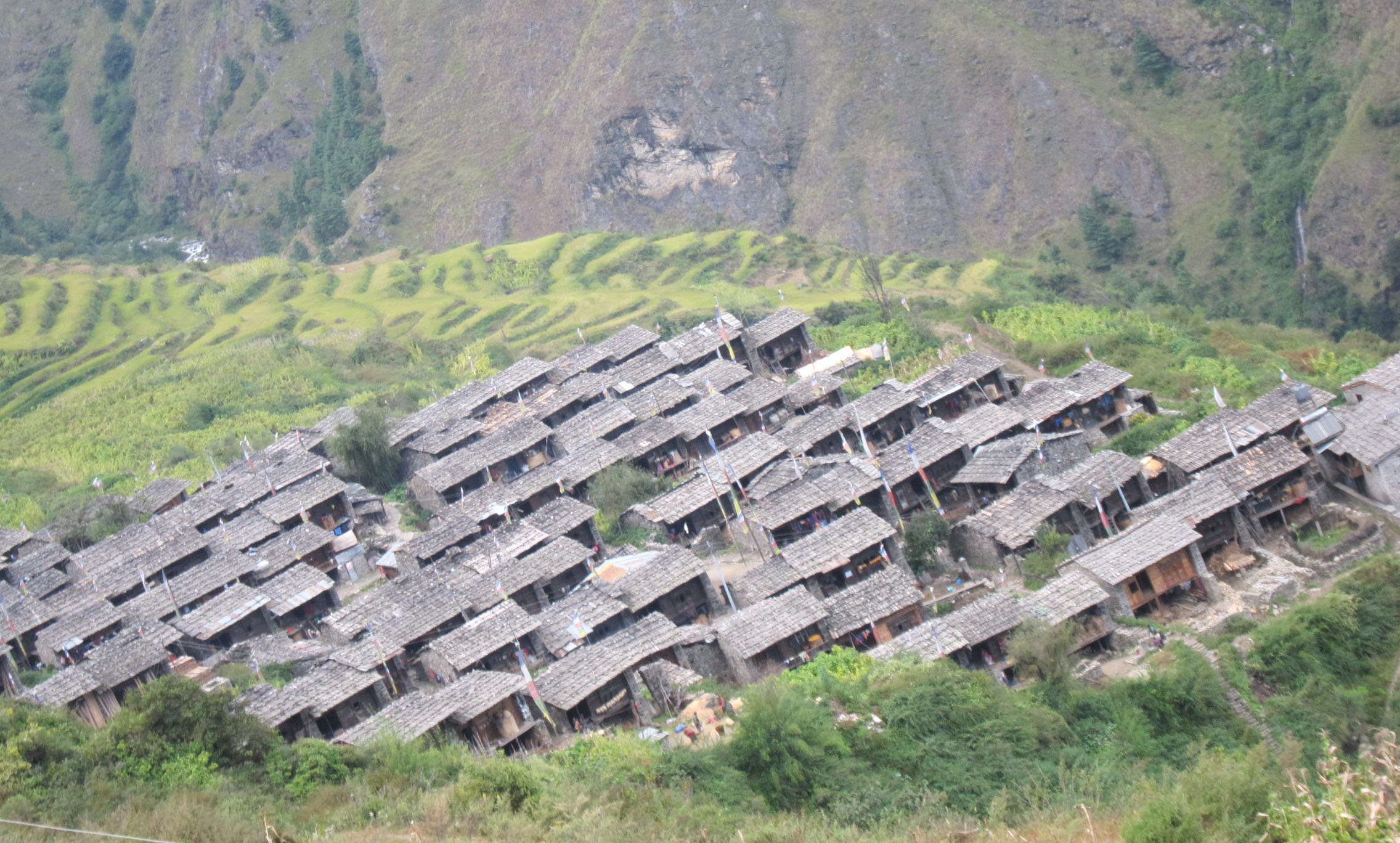 Winter Tamang Heritage Trail Trek